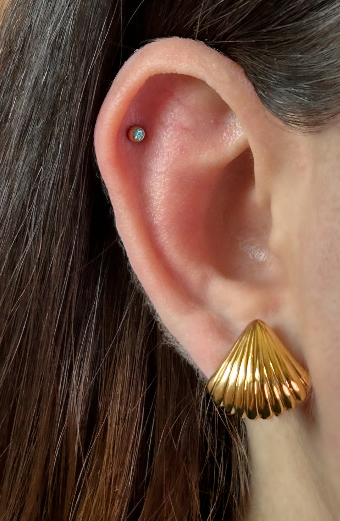 Shell Drop Earrings