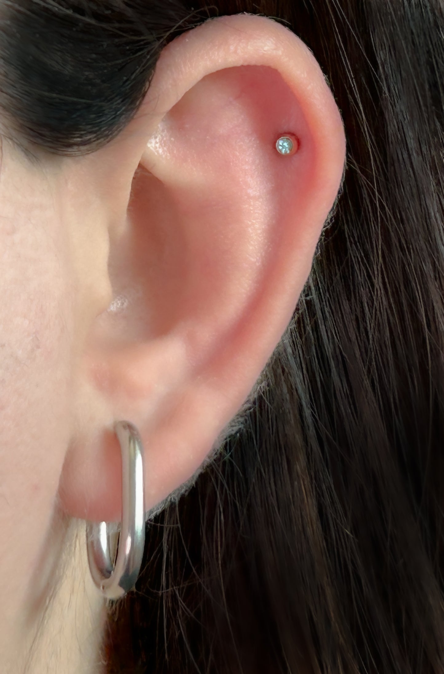Essential Oval Hoops