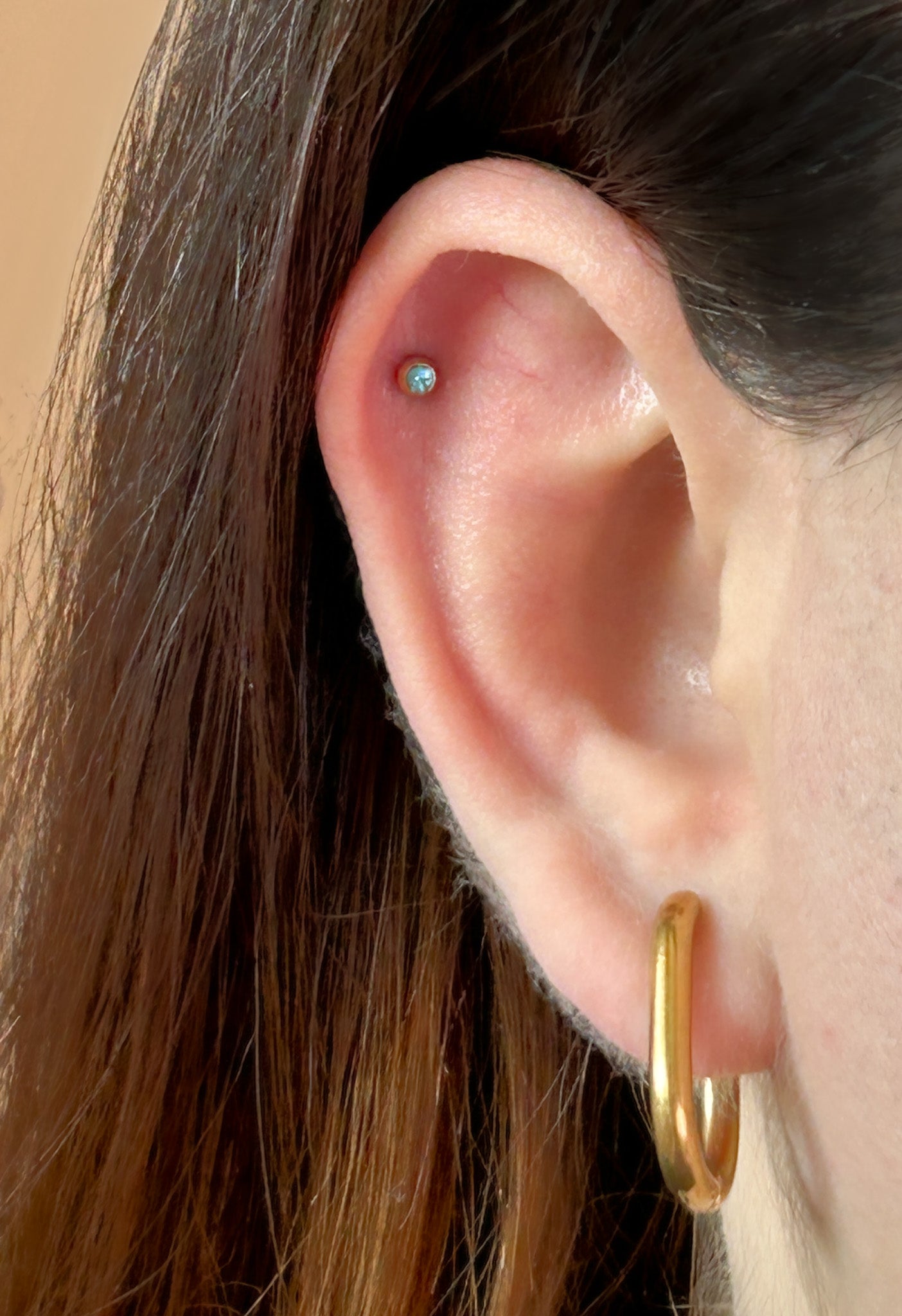 Essential Oval Hoops