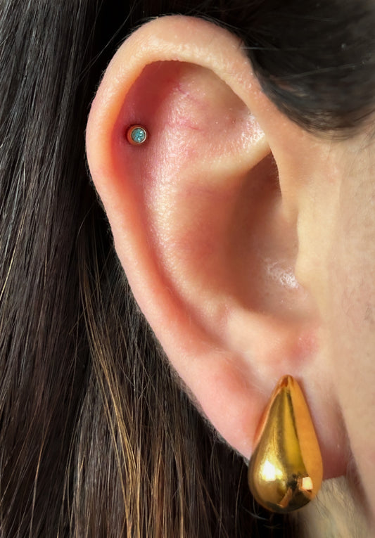 Teardrop Earrings